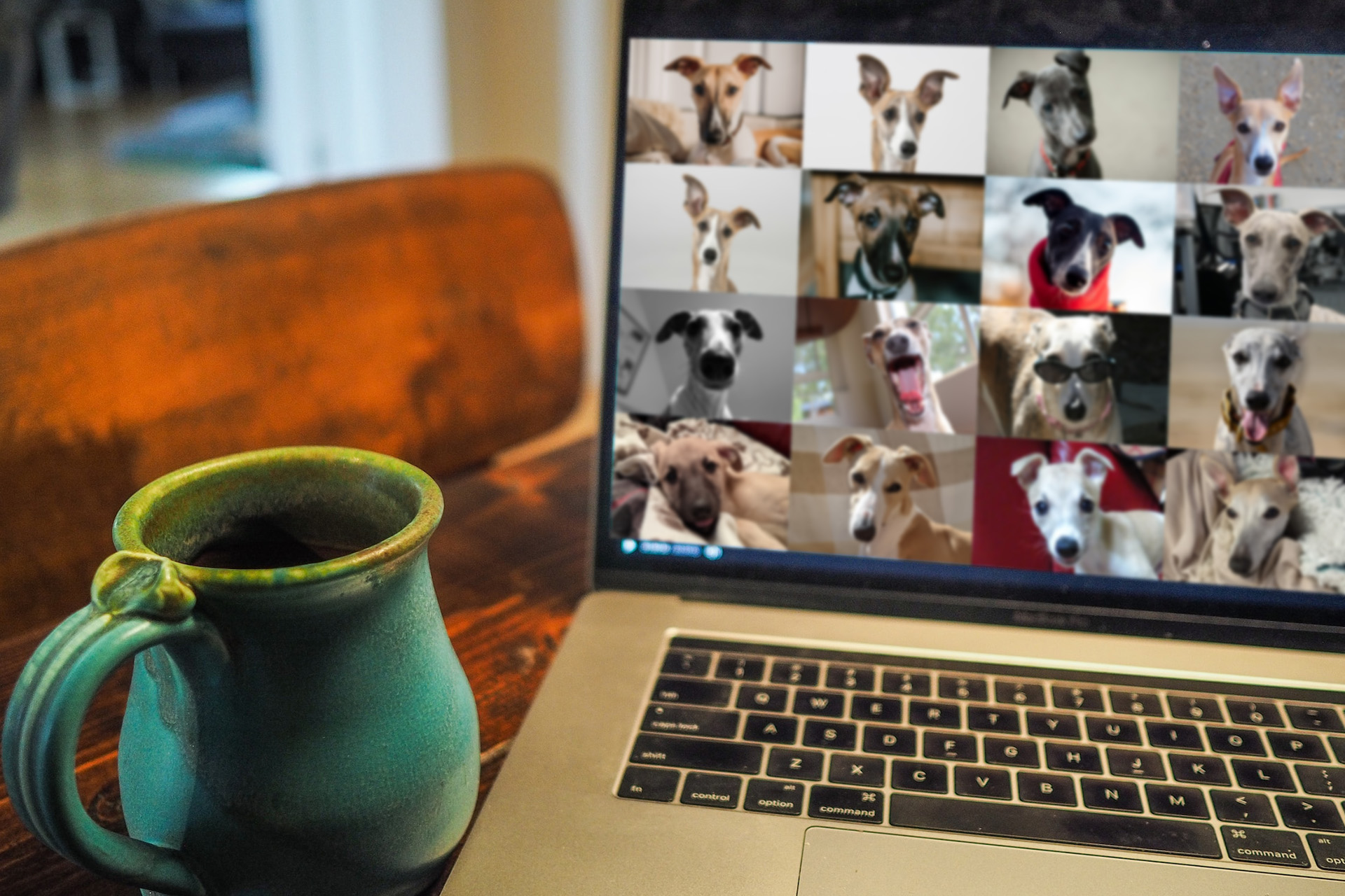​Notice: Breed Council Meeting – Sunday 9th August 2020