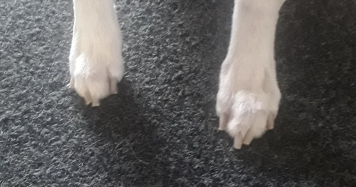 Nail Maintenance