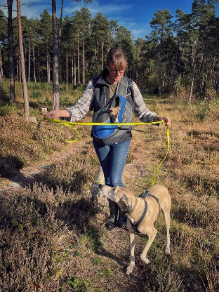 A whippet being a trained by a woman