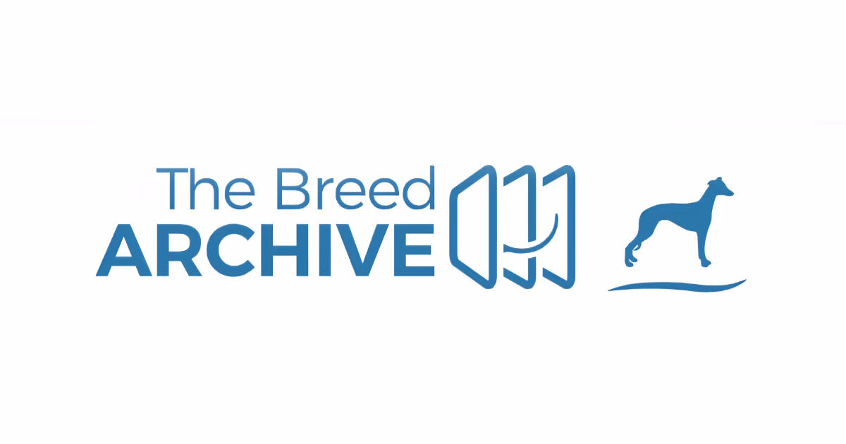 Whippet Breed Archive Featured