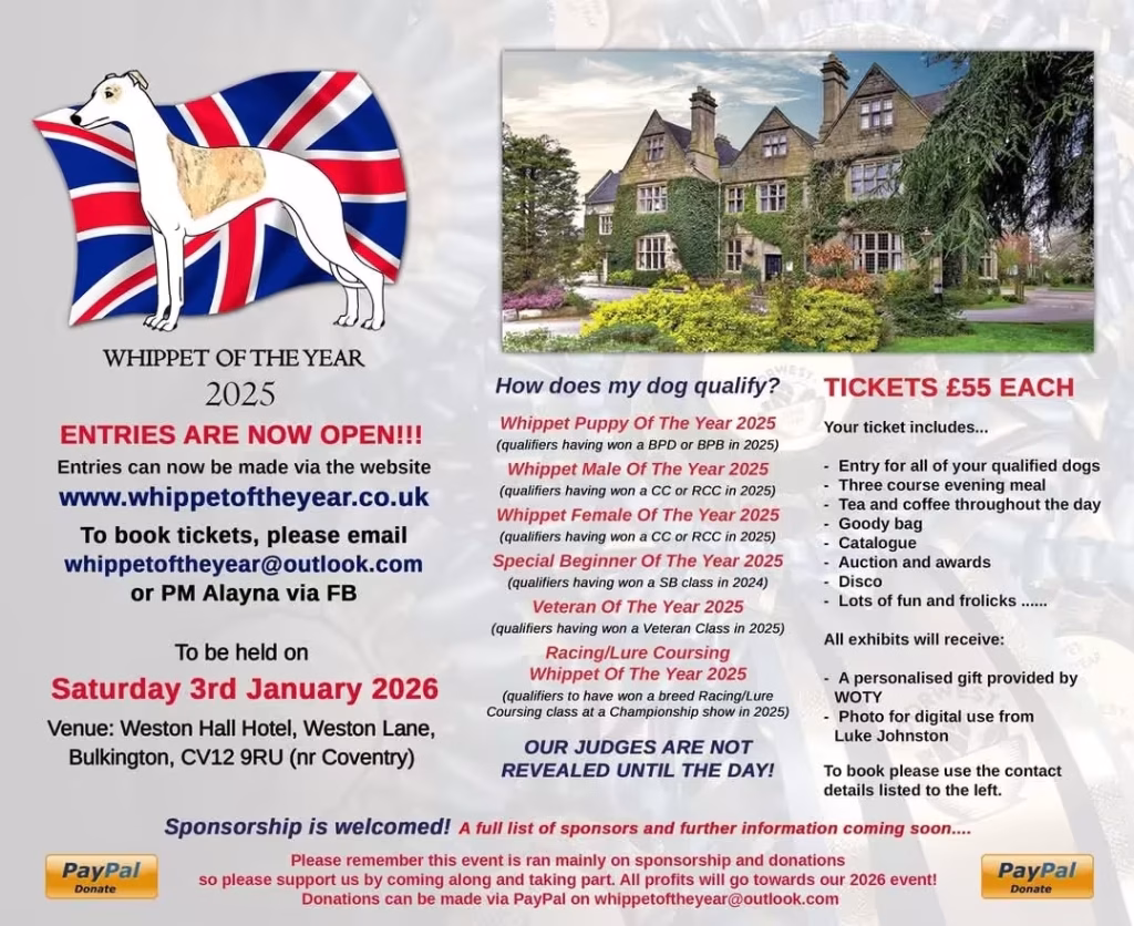 Whippet Of The Year 2025 Entries Open