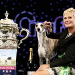 Tease Winning Crufts Featured Image