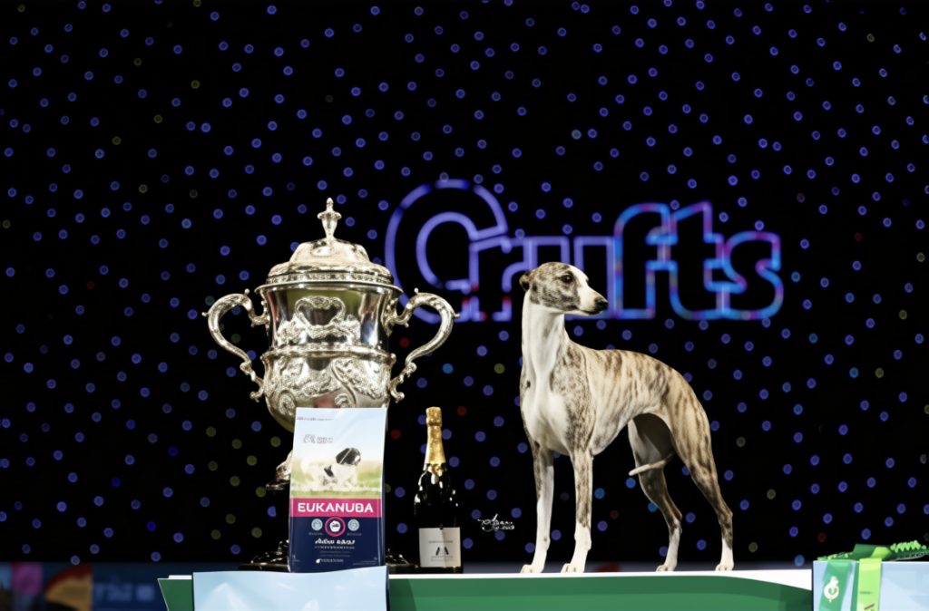 Tease Winning Crufts 2