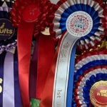 Rosettes Featured Image
