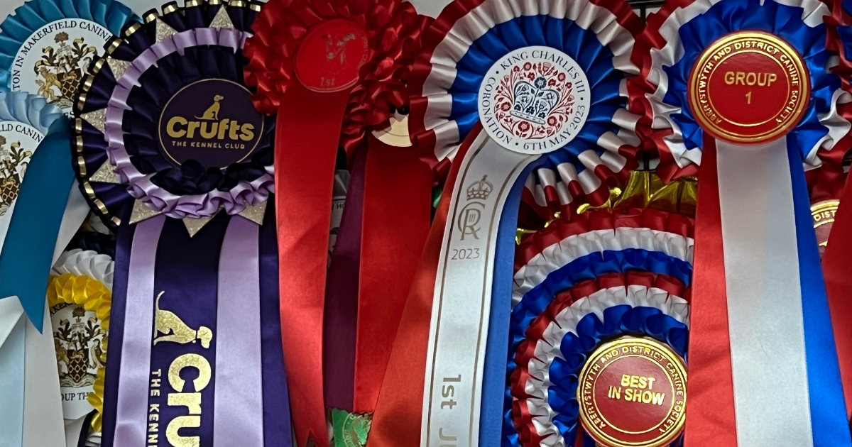 Rosettes Featured Image