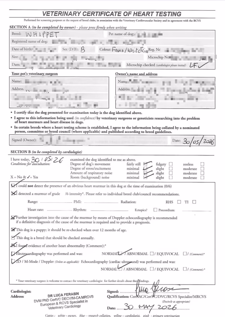 Heart Testing Certificate